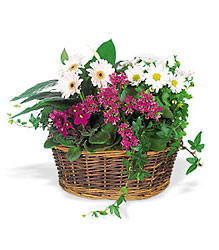 Traditional European Garden Basket from Brennan's Florist and Fine Gifts in Jersey City